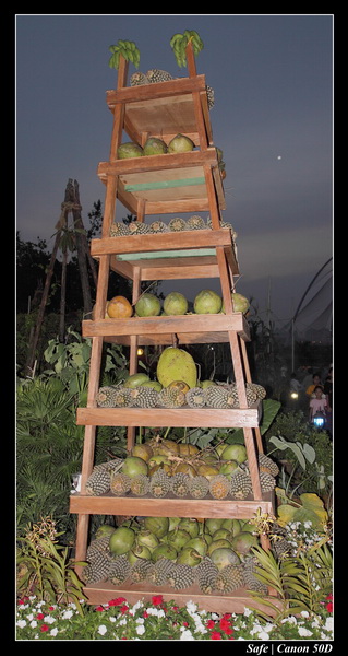 2009   08   Putrajaya 093